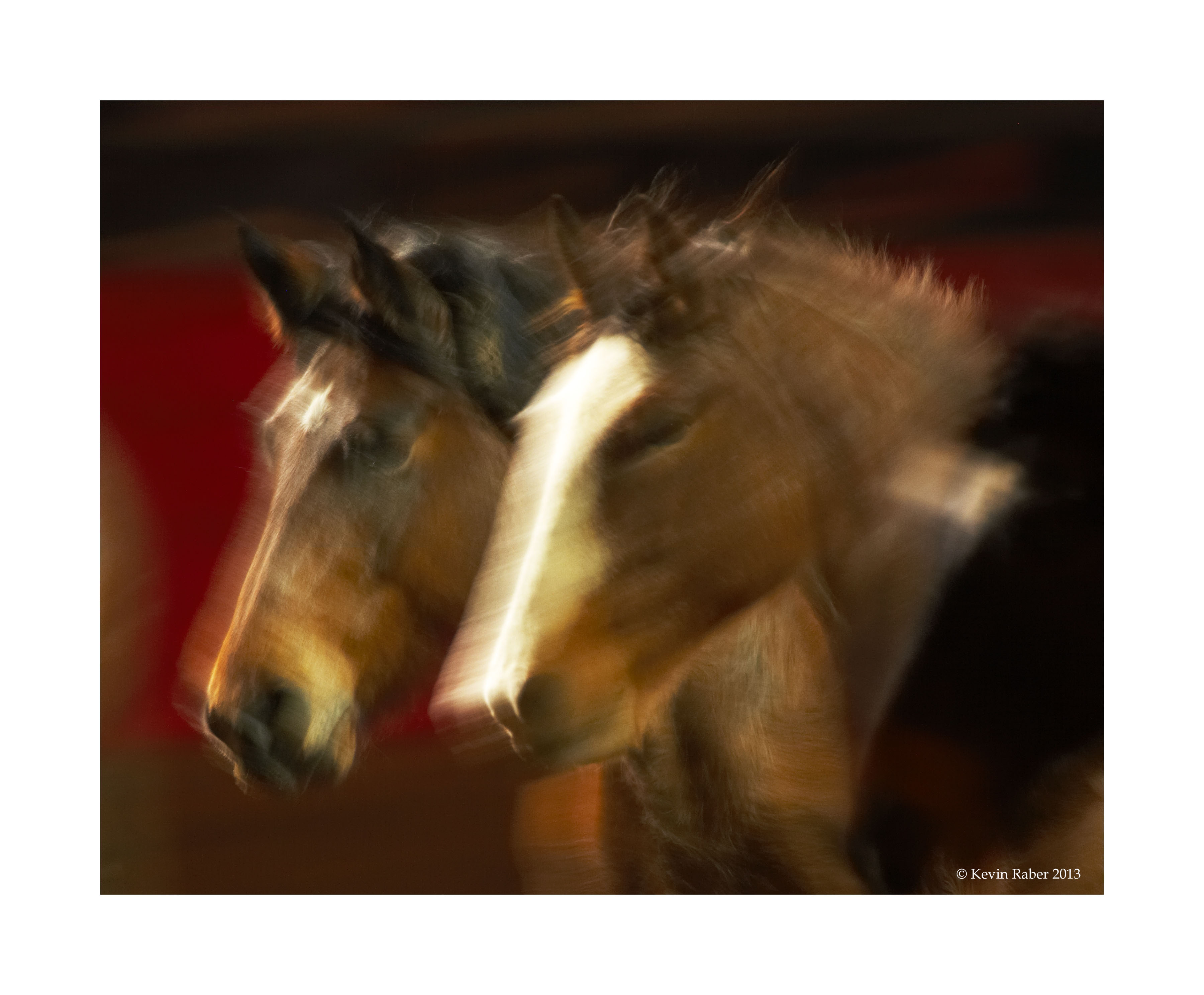 Horses In Motion, Part 2