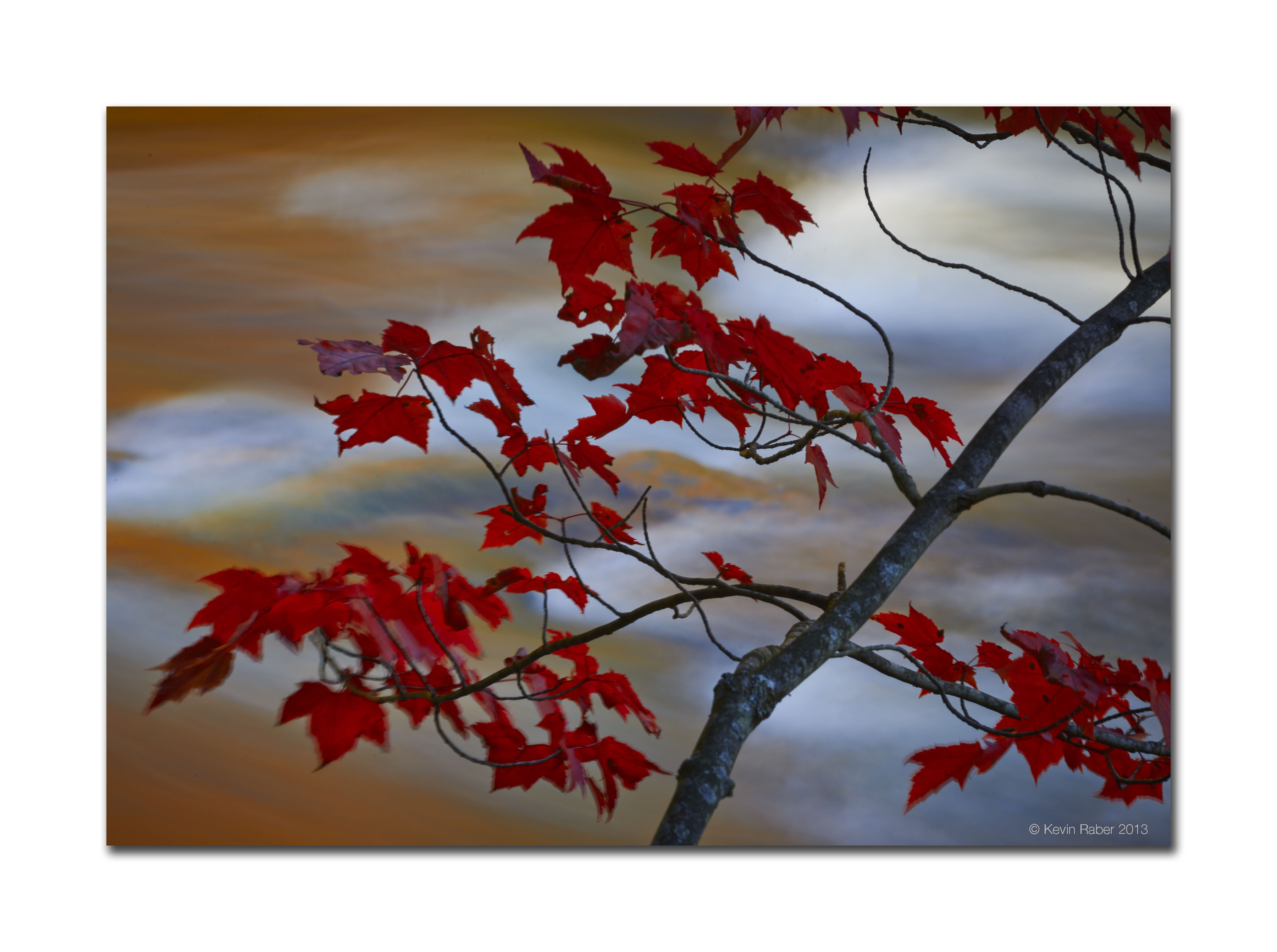 Fall Colors, Algonquin Park, Ontario Canada