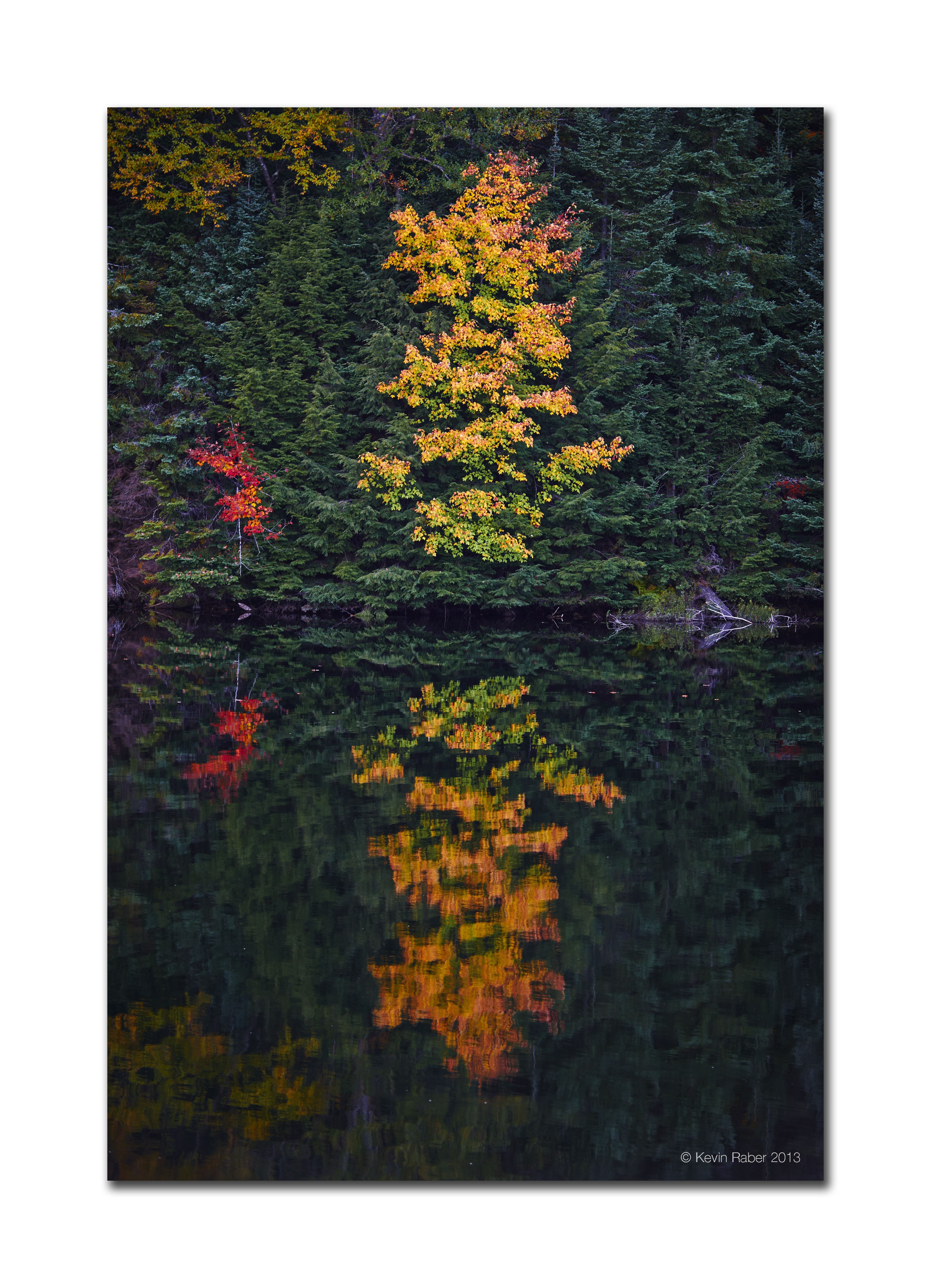 Fall Colors, Algonquin Park, Ontario, Canada
