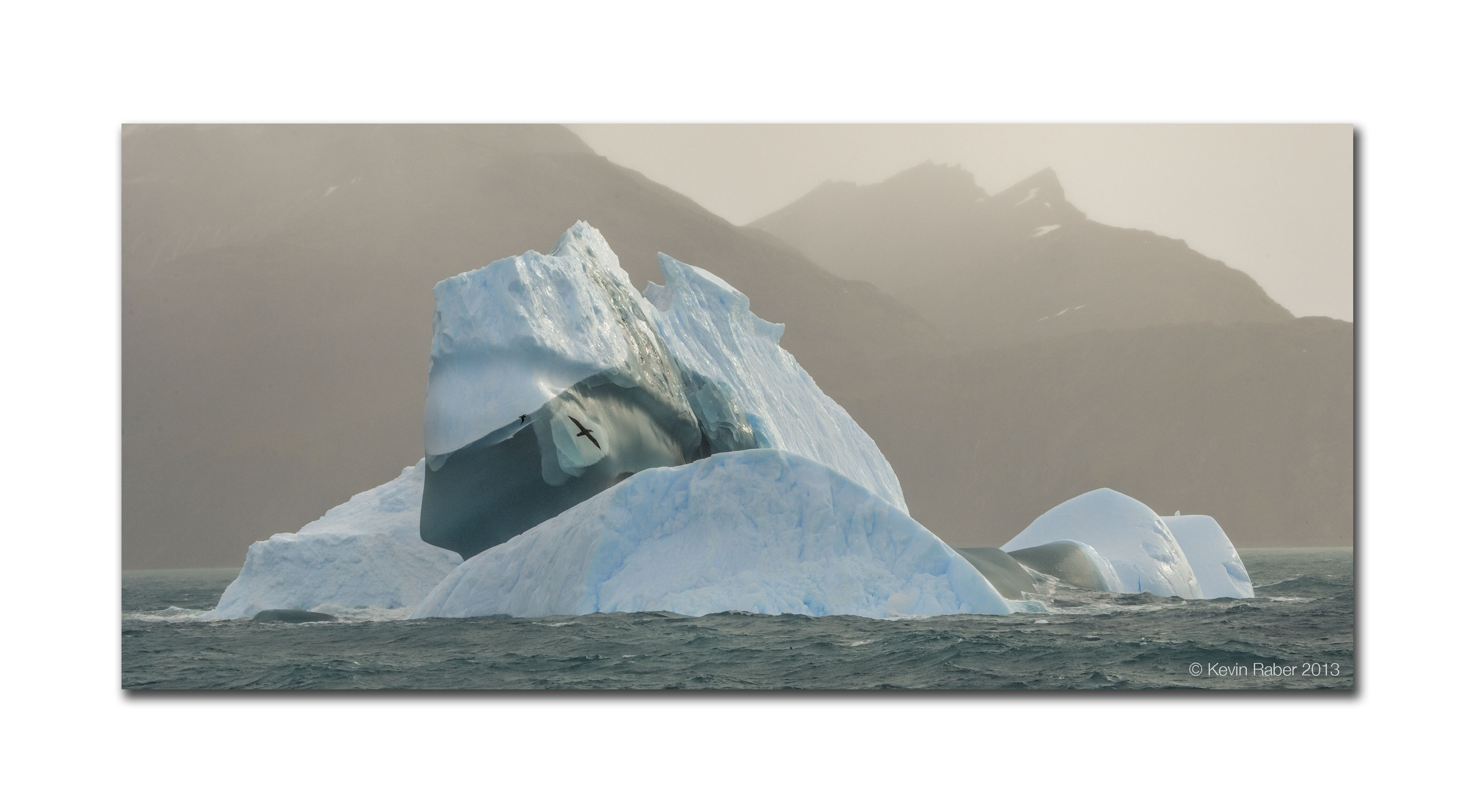 Bird and Iceberg, Antarctica