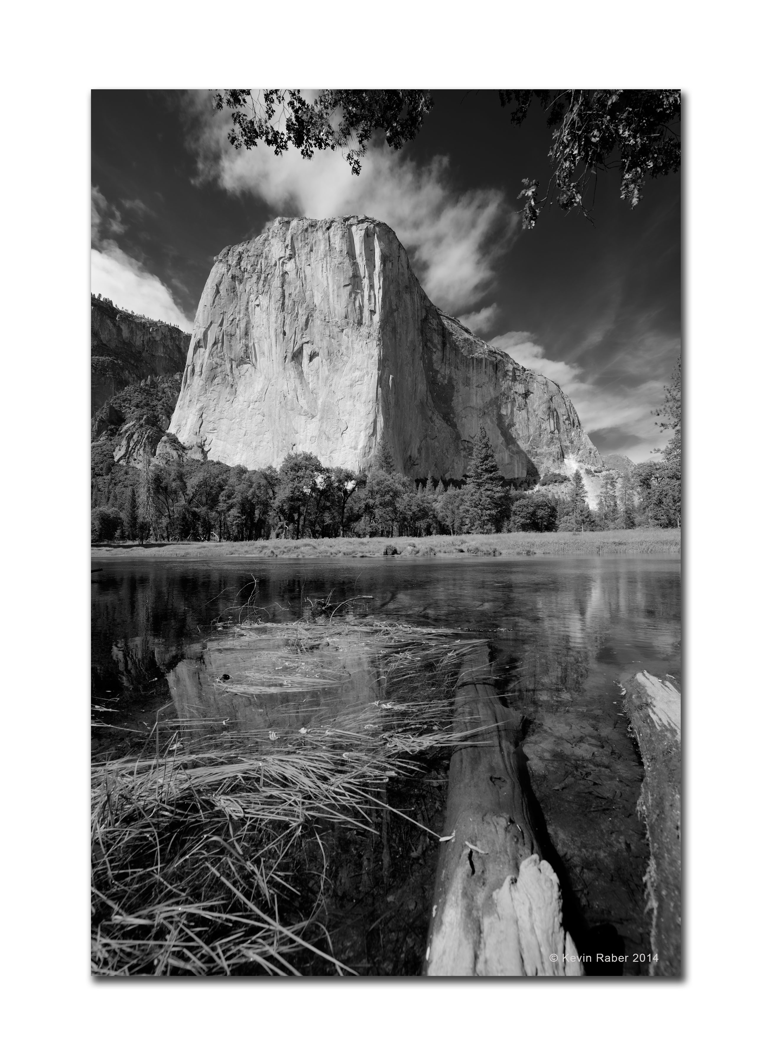 Yosemite Beauty