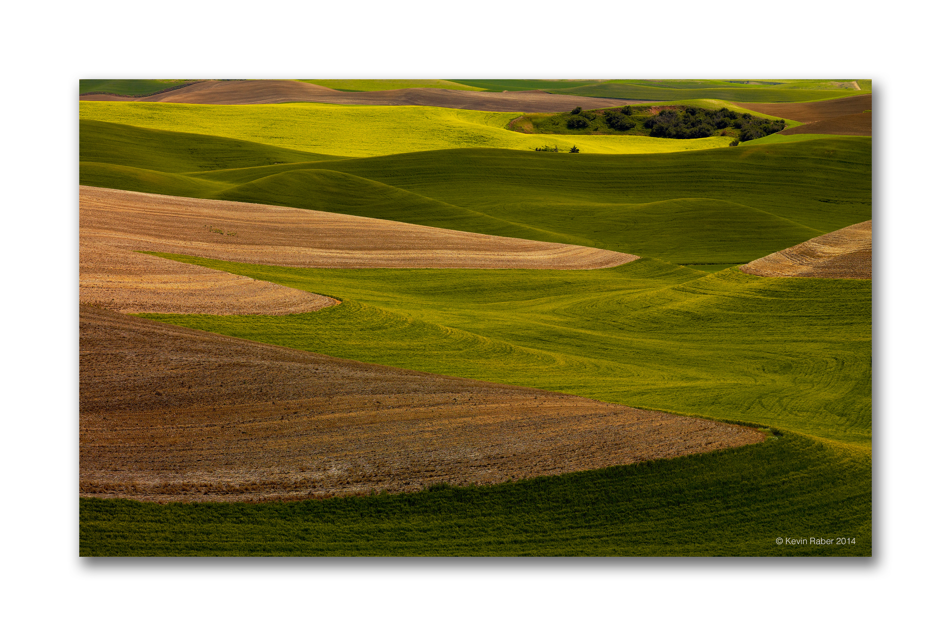 The Palouse Landscape, Simple and Beautiful