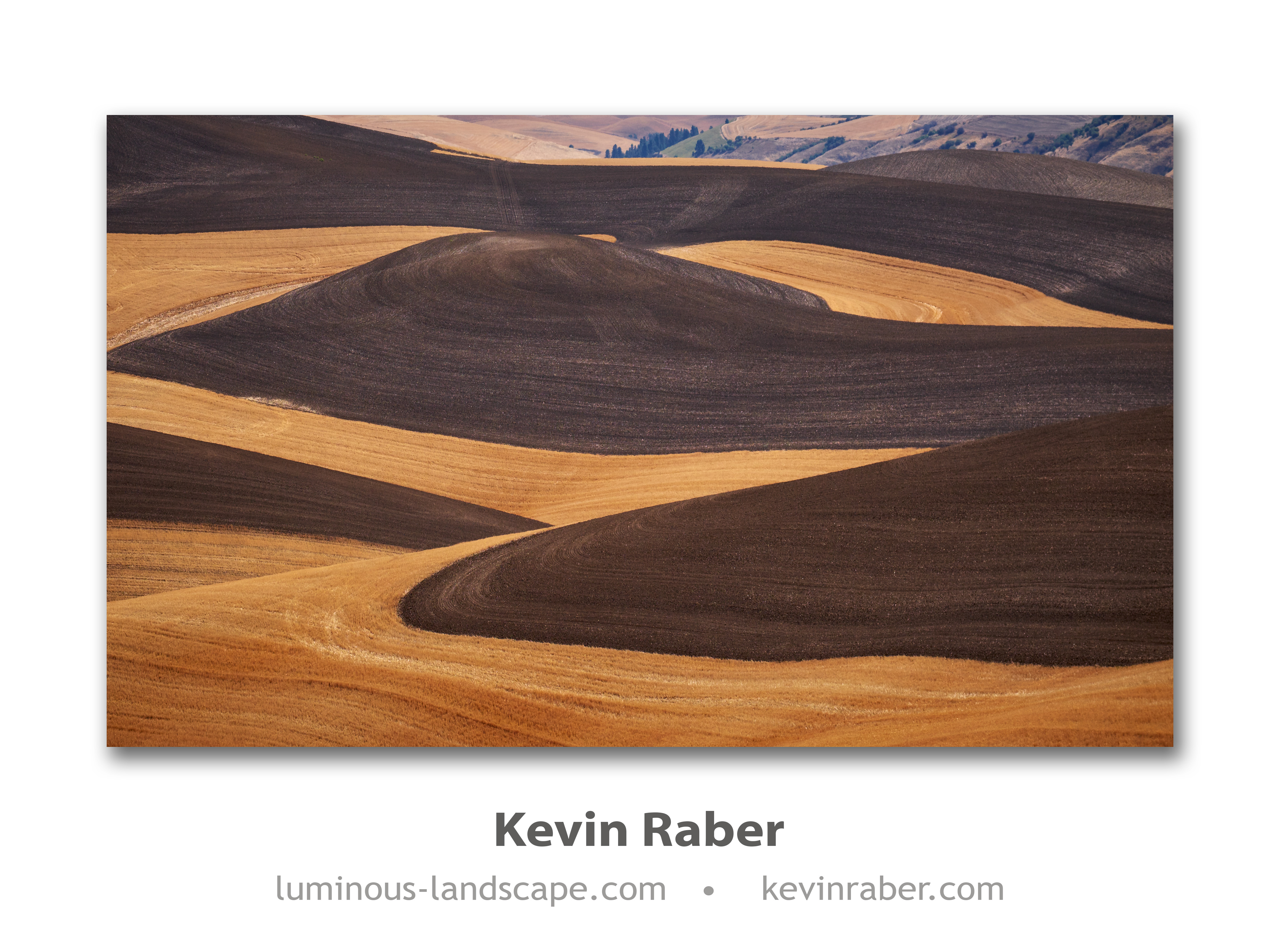 The Golds And Browns Of The Palouse
