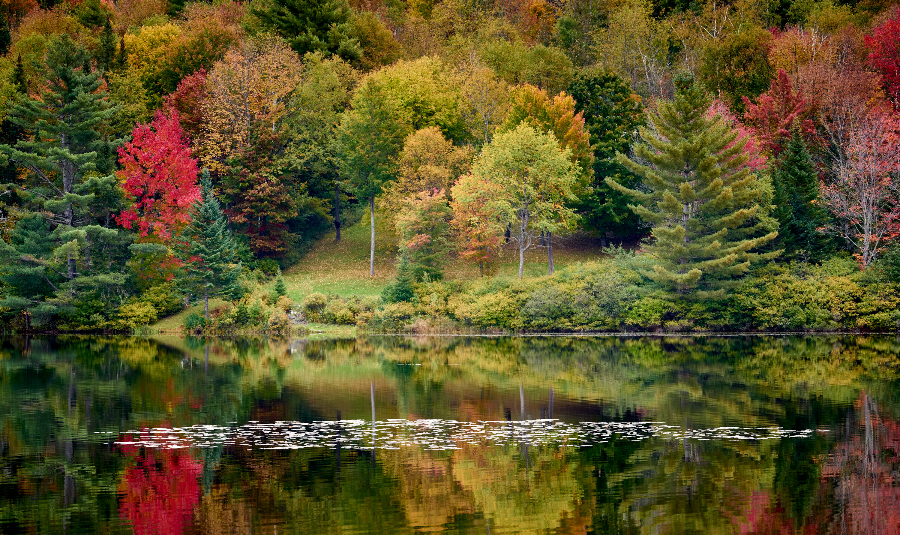 Classic Fall Color, New Hampshire
