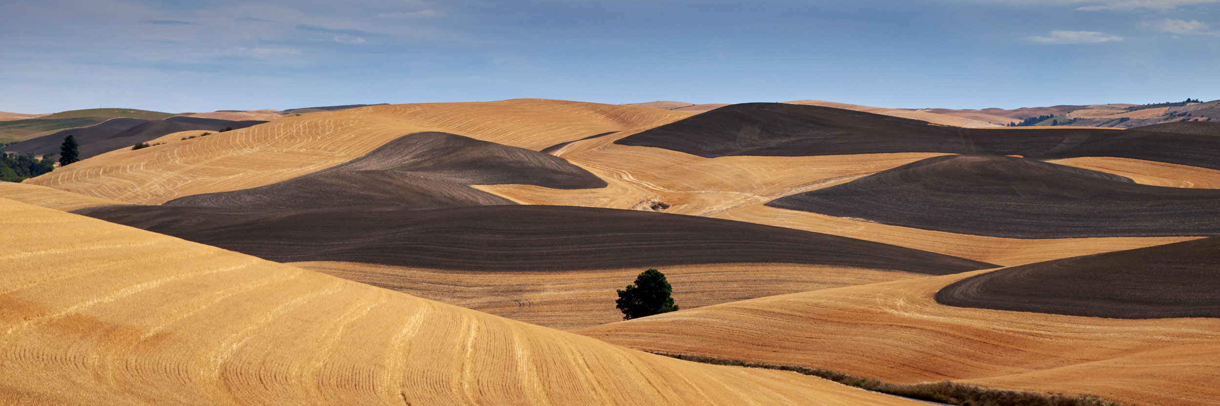 Rolling hills in the Palouse